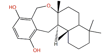 Cyclosiphonodictyol A